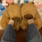 Bear Cotton Slippers Plush Slippers Kappibara Slippers Cartoon Capybara Cotton Slippers