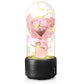 Creative 2 In 1 Bouquet LED Light And Bluetooth Speaker Mother's Day Gift Rose Luminous Night Light Ornament In Glass Cover