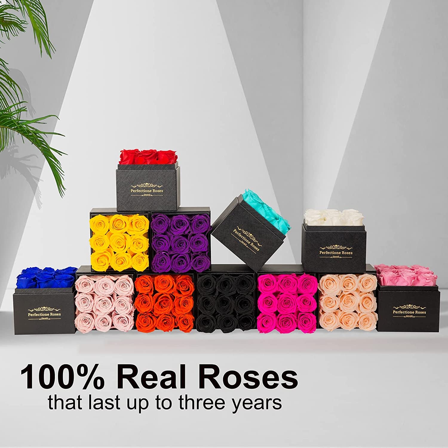 Preserved Flowers in a Box, Red Real Roses Long-Lasting Rose Birthday Gifts for Her Anniversary Mother'S Day Valentine'S Day Christmas Day(Black Medium Square Box)