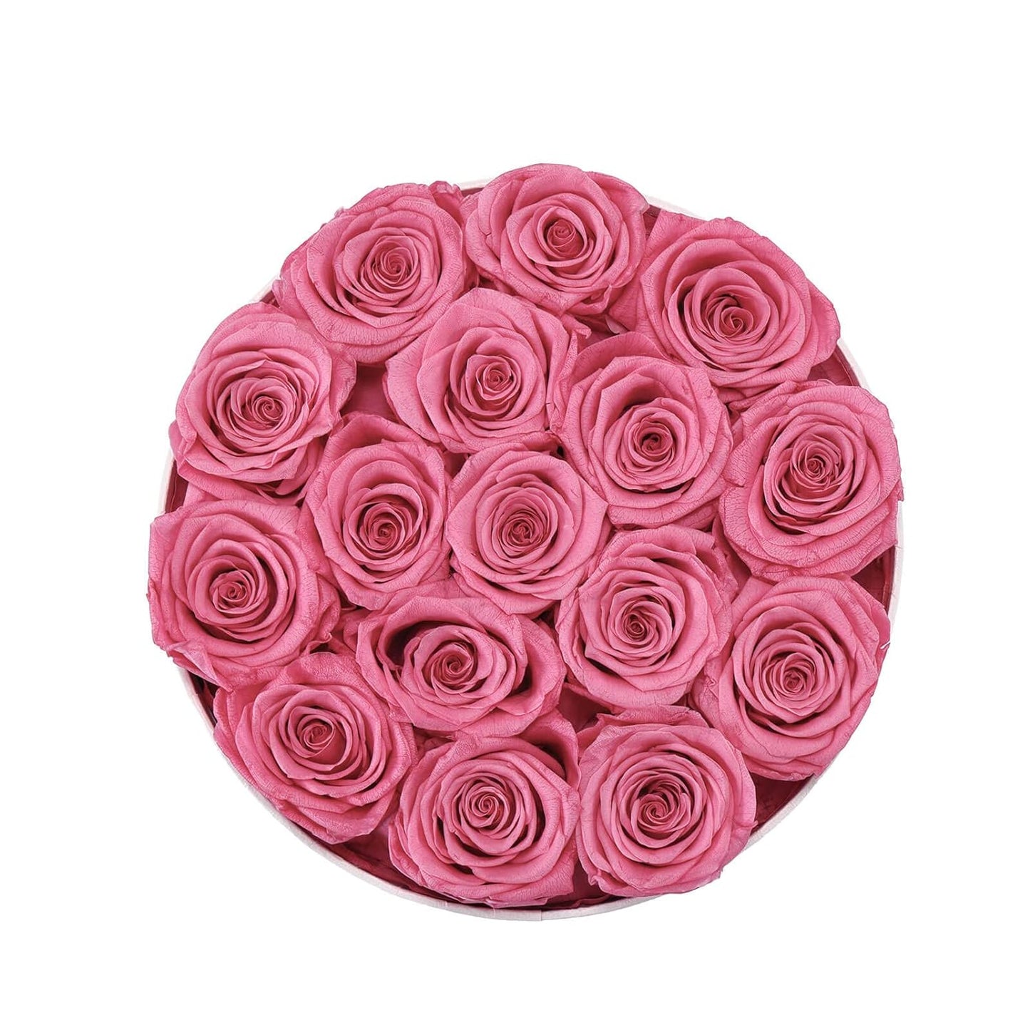 16-Piece Forever Flowers Preserved Rose in a Box Real Roses That Last a Year Preserved Flowers for Delivery Prime Mothers Day Valentines Day Christmas Day (Pink Roses, round White Box)