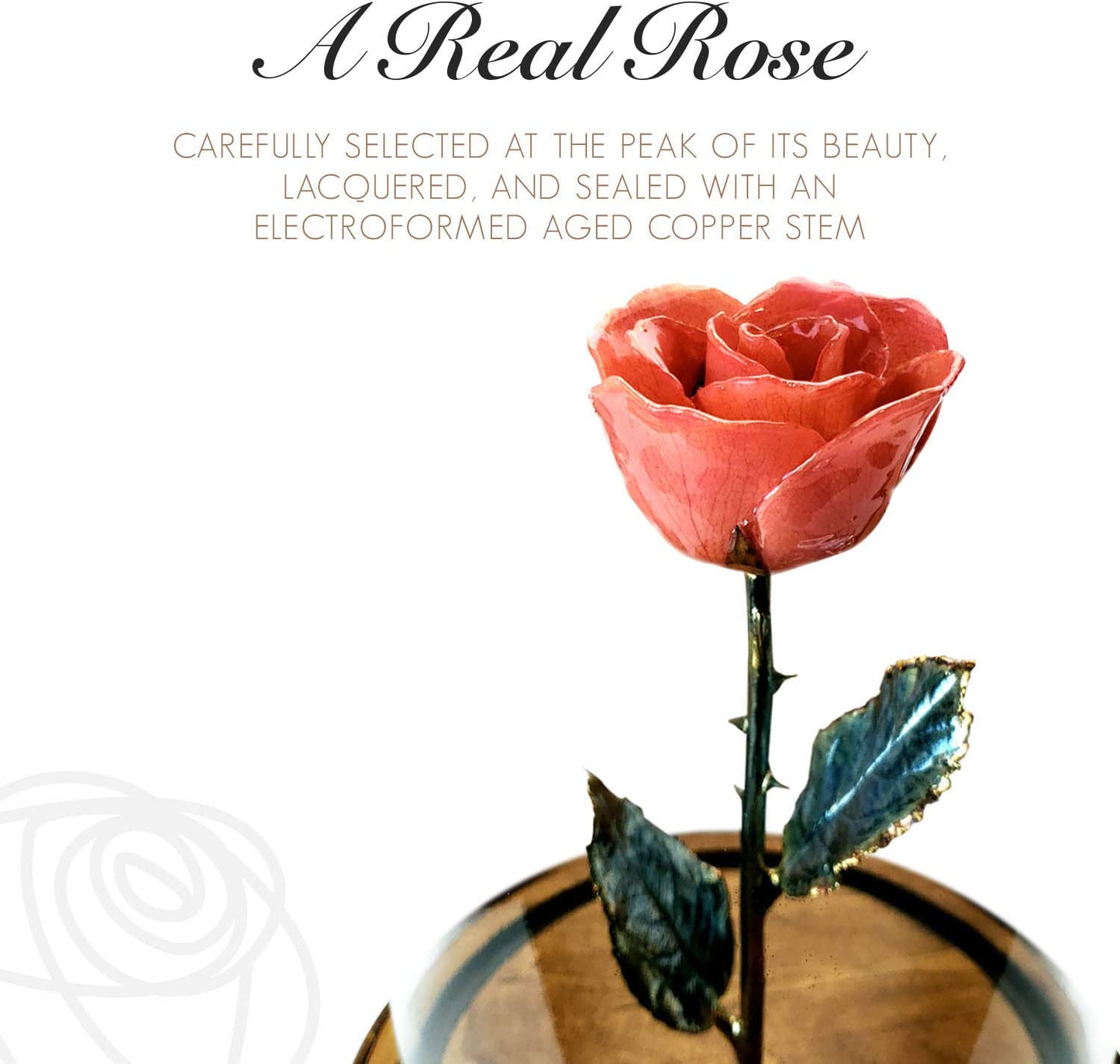 Enchanted Rose, Eternal a Genuine, One of a Kind, Real Pink Rose, Hand Dipped in Lacquer with a Copper Stem and Leaves, in a Glass Dome, Beauty and the Beast