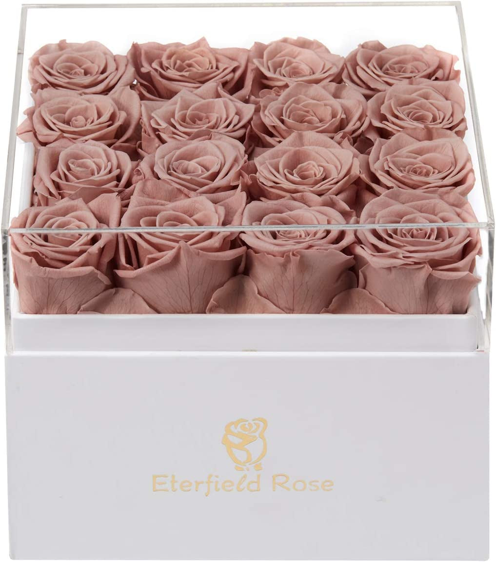 Preserved Roses Preserved Flowers for Delivery Prime 16-Piece Real Roses That Last a Year Flower Gifts for Women Valentines Flowers for Girlfriend Gifts for Mother (Dusty Pink)