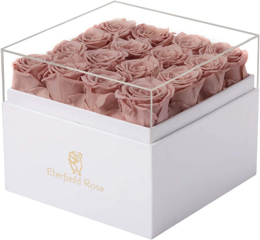 Preserved Roses Preserved Flowers for Delivery Prime 16-Piece Real Roses That Last a Year Flower Gifts for Women Valentines Flowers for Girlfriend Gifts for Mother (Dusty Pink)