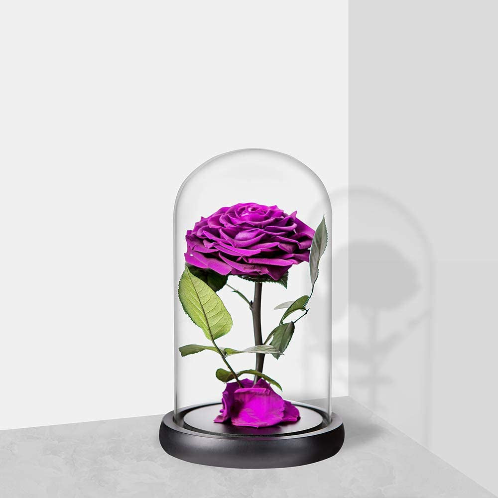 Preserved Roses Purple Real Preserved Rose in Glass Dome with Wooden Base, Rose Preserved Never Withered Romantic Gifts for Her, Valentine'S Day, Mother'S Day, Birthday (9 Inch, Purple)