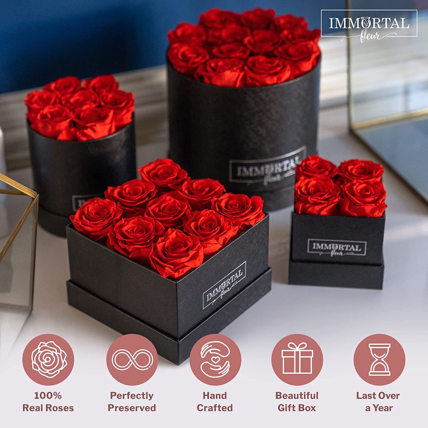 Preserved Roses in a Box, Preserved Flowers, Forever Roses Box, Mom Birthday Gifts, Flowers for Delivery Prime Birthday, Valentines Day Flowers for Wife, Red 16