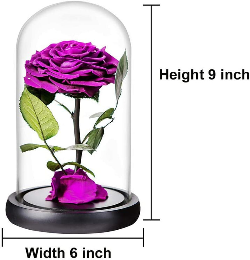 Preserved Roses Purple Real Preserved Rose in Glass Dome with Wooden Base, Rose Preserved Never Withered Romantic Gifts for Her, Valentine'S Day, Mother'S Day, Birthday (9 Inch, Purple)