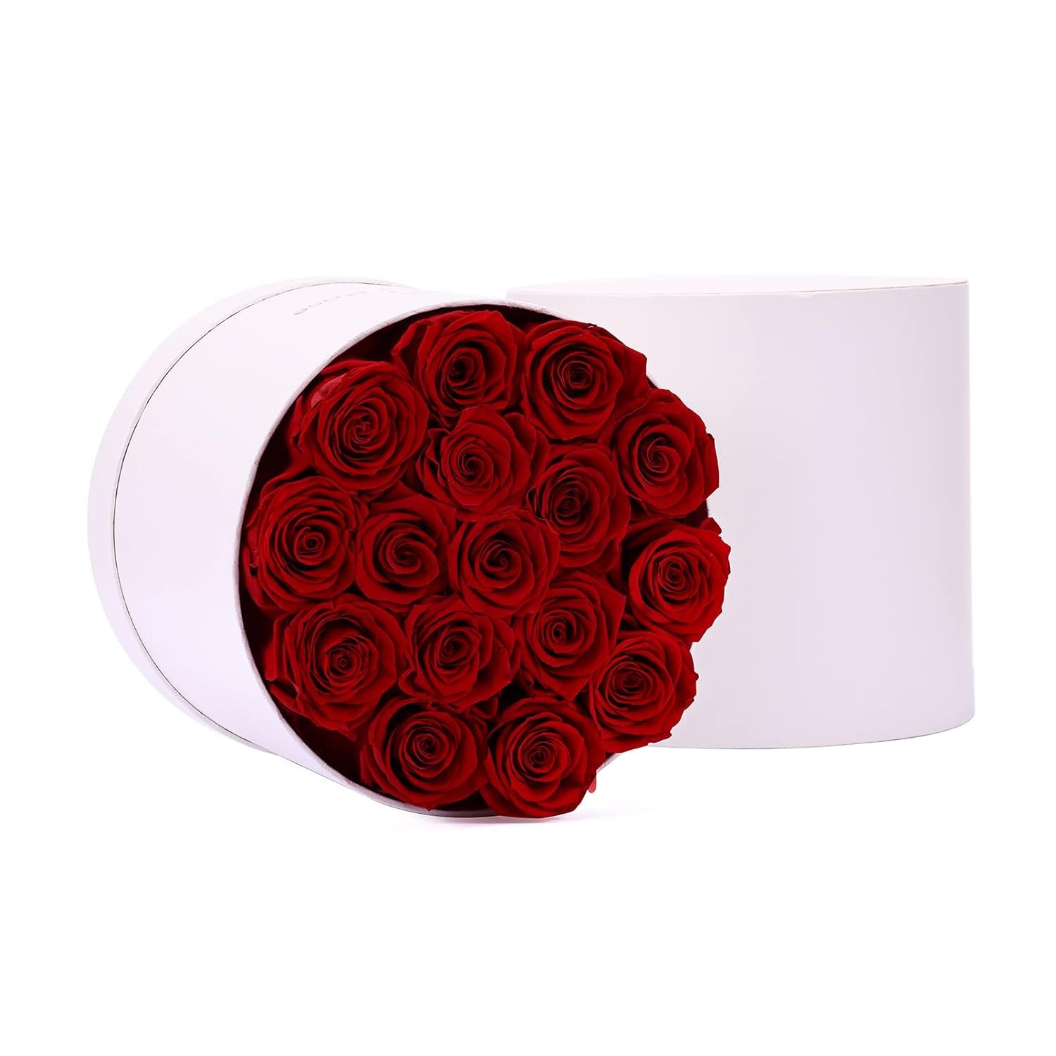 16-Piece Forever Flowers Preserved Rose in a Box Real Roses That Last a Year Preserved Flowers for Delivery Prime Mothers Day Valentines Day Christmas Day (Red Roses, round White Box)